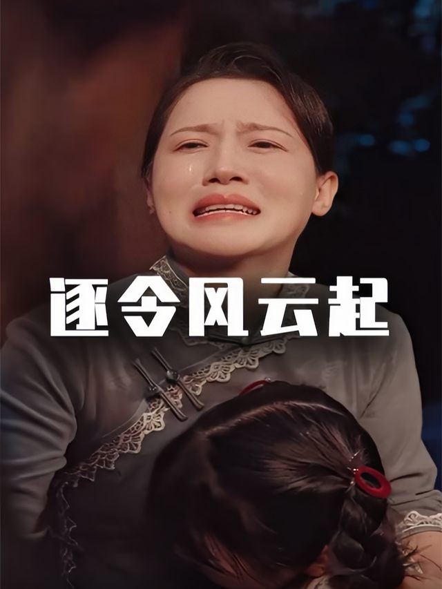逐令风云起封面