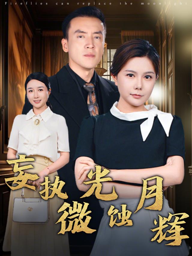 妄执微光蚀月辉封面