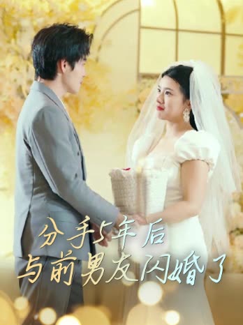 分手5年后与前男友闪婚了封面