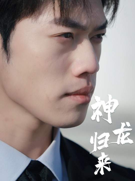 神龙归来封面