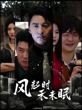 风起时禾未眠封面