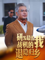 研发超代战机的我退隐归乡封面