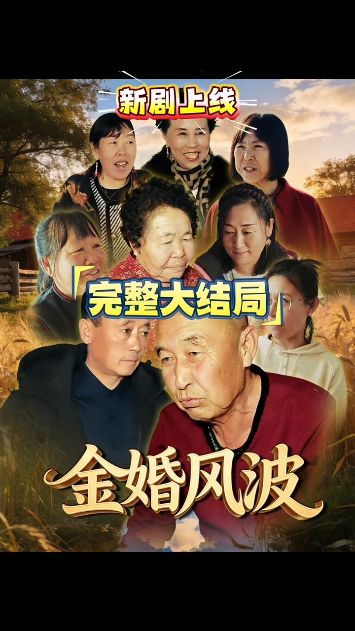 金婚风波封面
