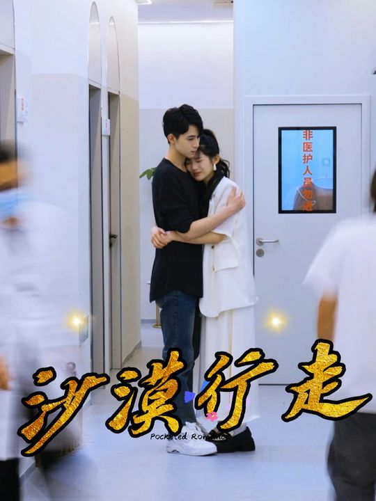 沙漠行走封面