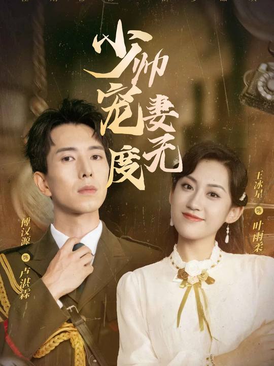 少帅宠妻无度封面