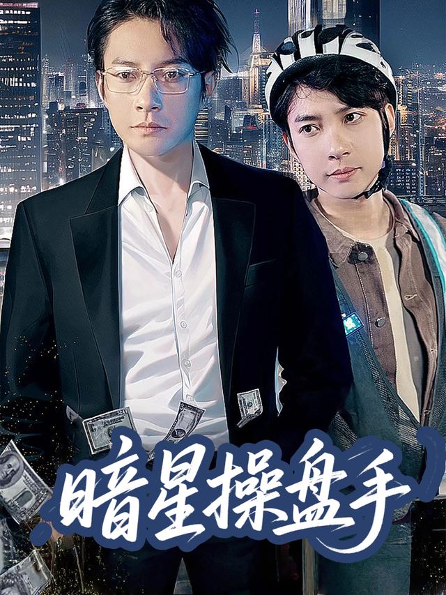 暗星操盘手封面