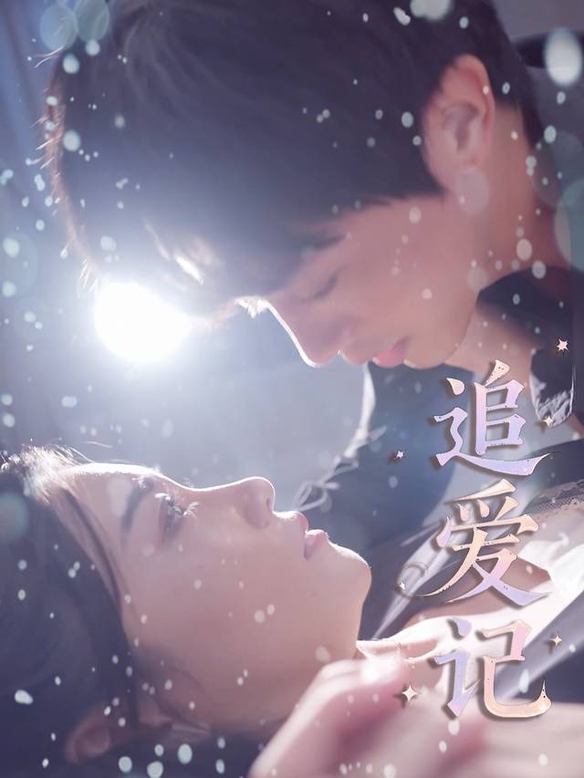 追爱记封面
