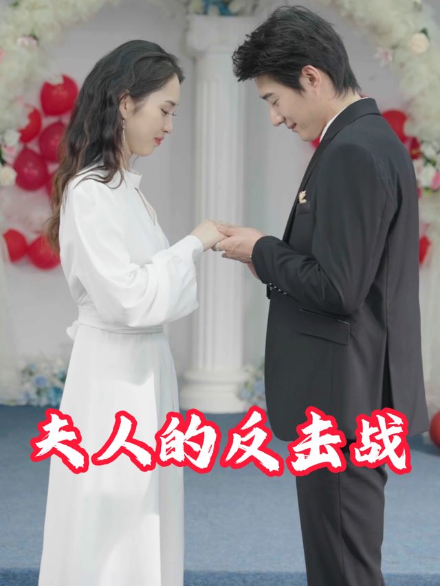 夫人的反击战封面