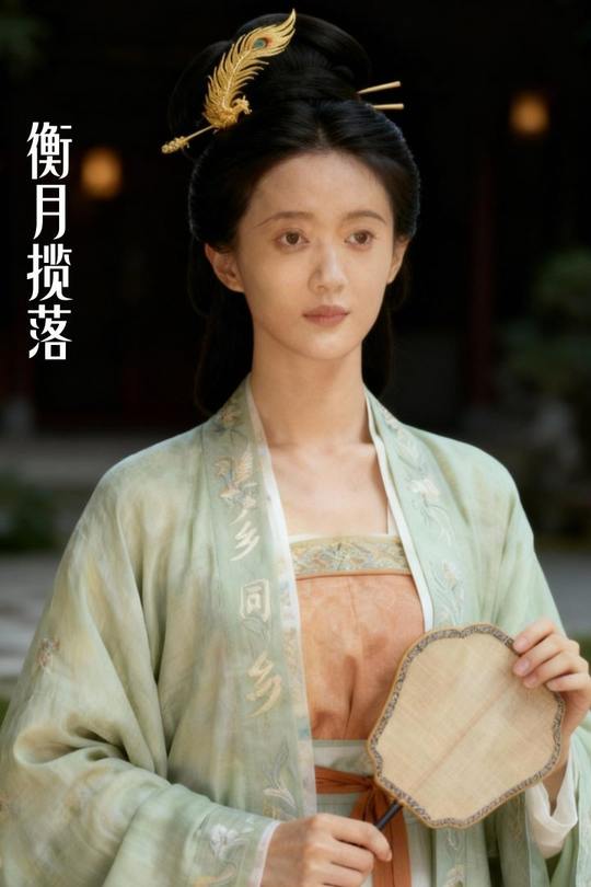 衡月揽落封面