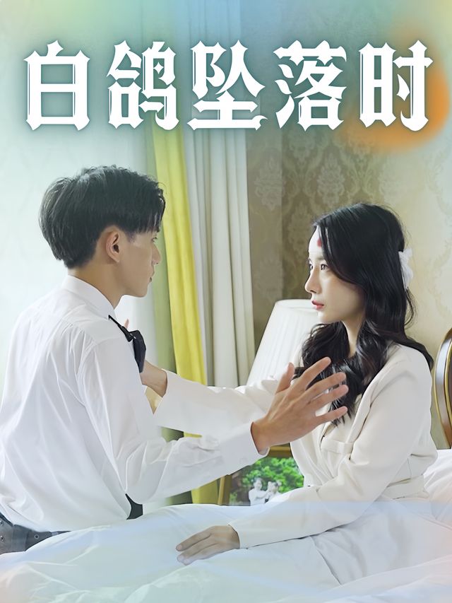 白鸽坠落时封面