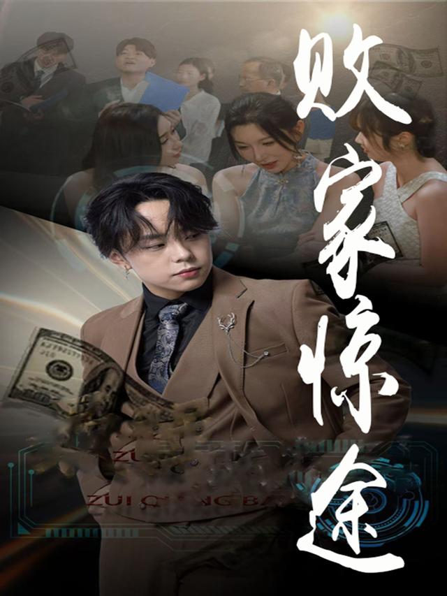 败家惊途封面