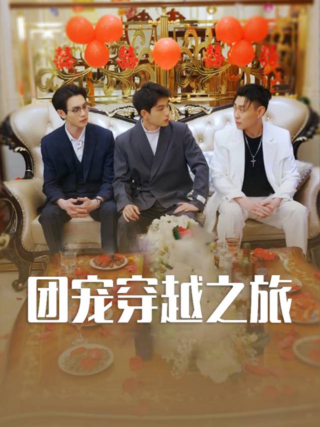 团宠穿越之旅封面