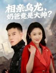 相亲乌龙,奶爸竟是大帅?封面