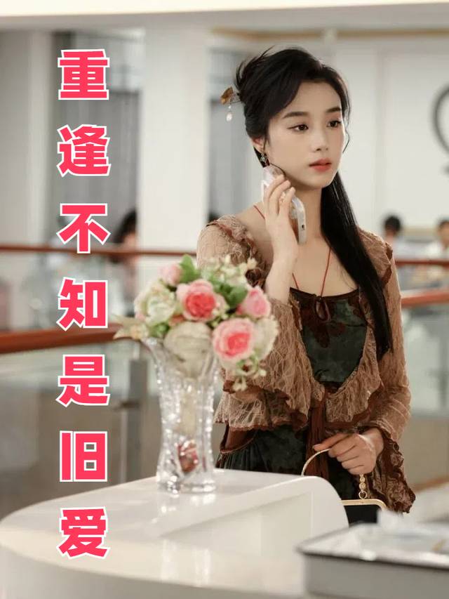 重逢不知是旧爱封面