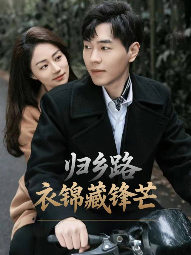 归乡路衣锦藏锋芒封面