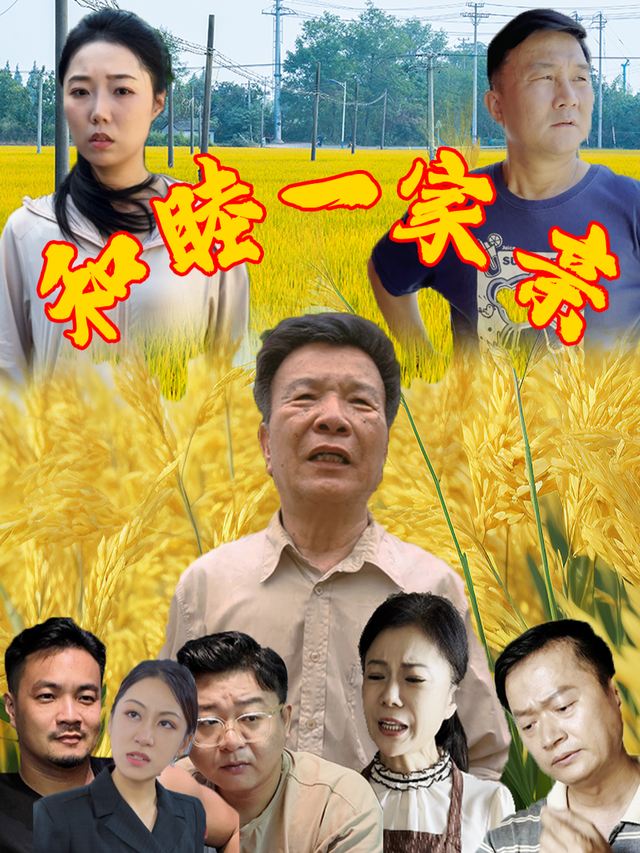 和睦一家亲封面