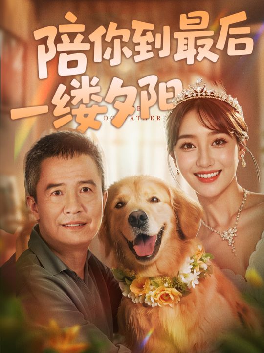 陪你到最后一缕夕阳封面