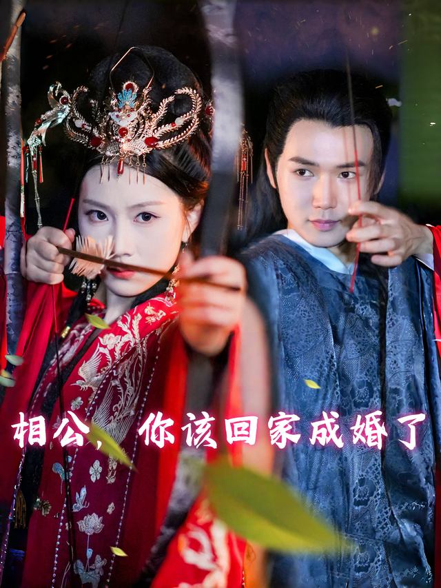 相公,你该回家成婚了封面