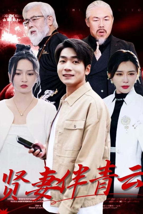 贤妻伴青云封面