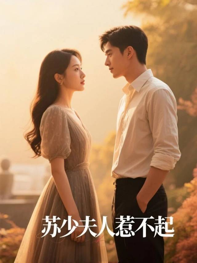 苏少夫人惹不起封面