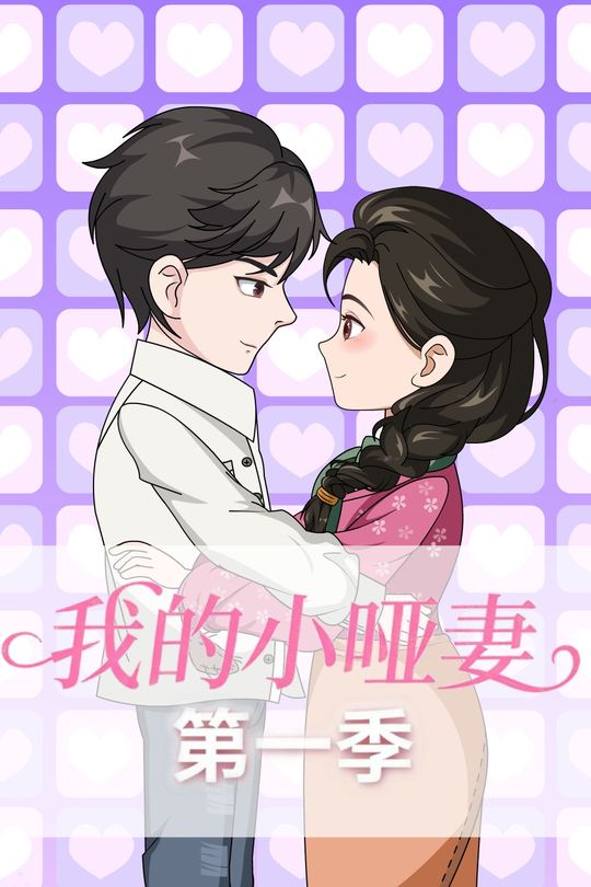 我的小哑妻封面