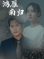鸿雁南归封面