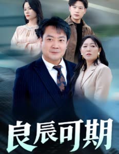 良辰可期封面