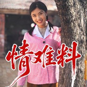 情难料封面