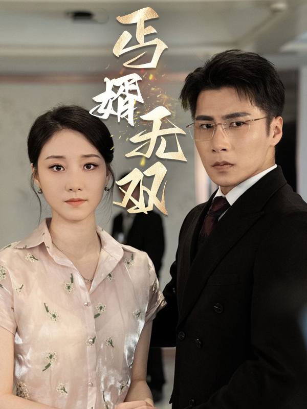丐婿无双封面