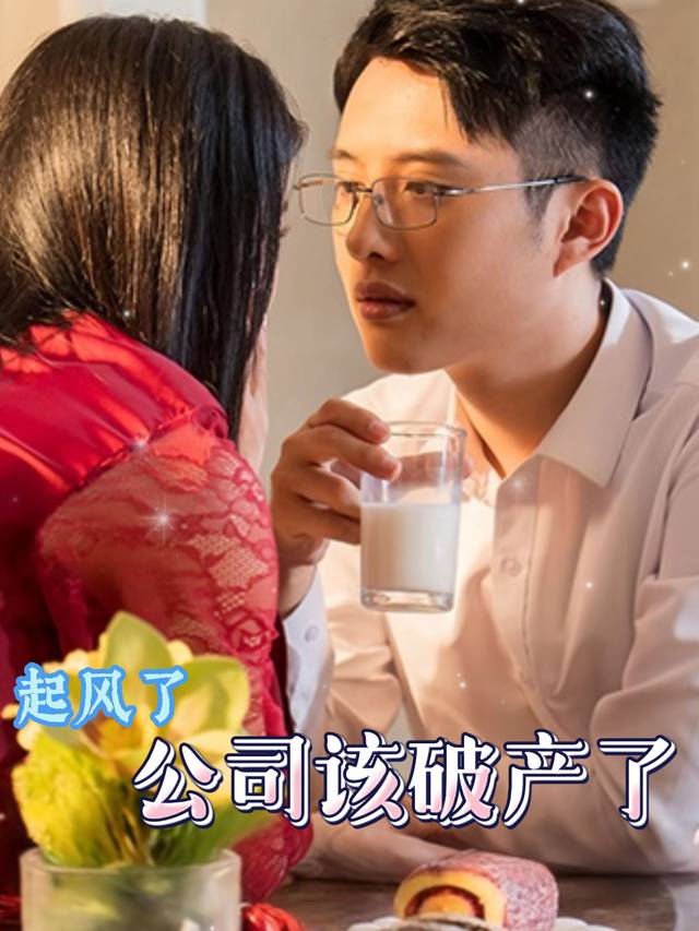 起风了,公司该破产了封面