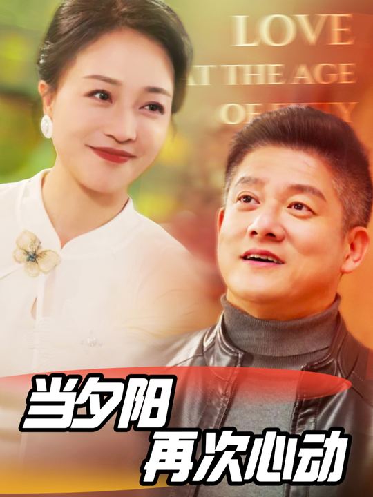 当夕阳再次心动封面