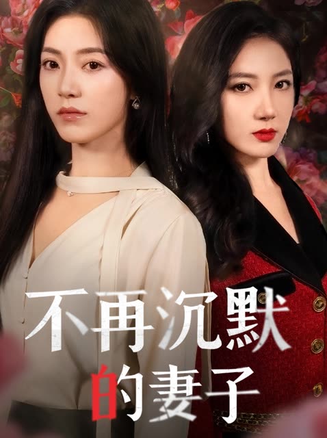不再沉默的妻子封面