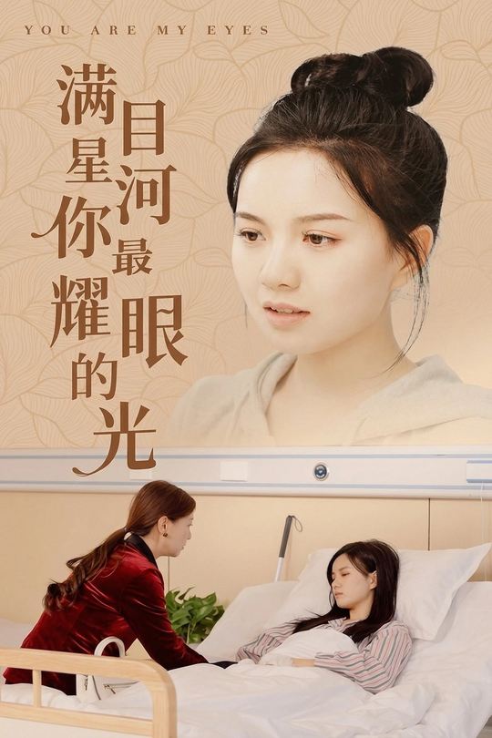 满目星河你是耀眼星光封面