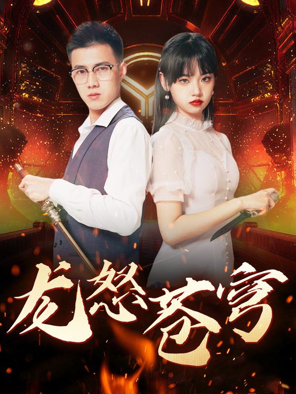 龙怒苍穹封面