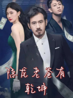 隐龙老爸有乾坤封面
