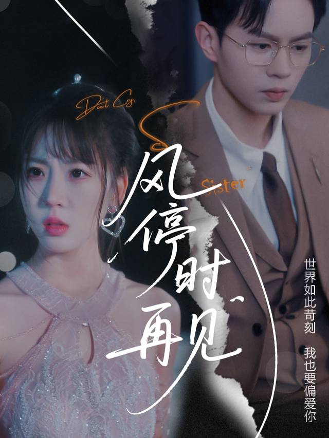 风停时再见封面