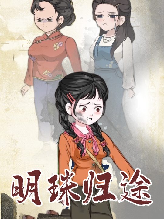 明珠归途封面