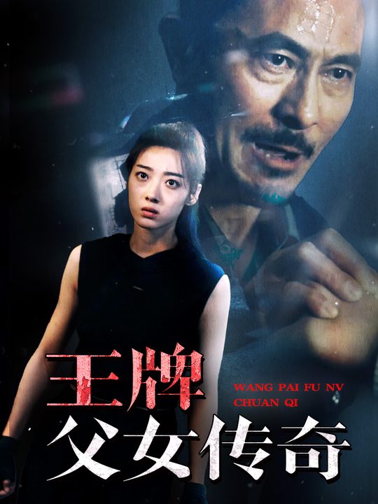 王牌父女传奇封面