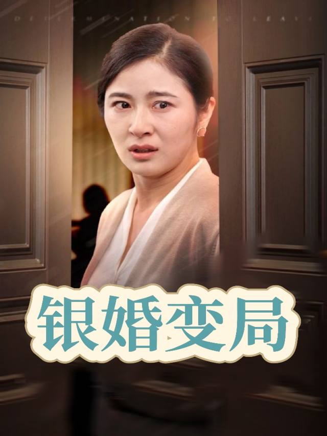 银婚变局封面