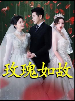 玫瑰如故封面