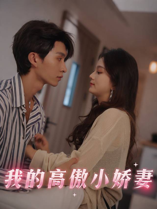 我的高傲小娇妻封面