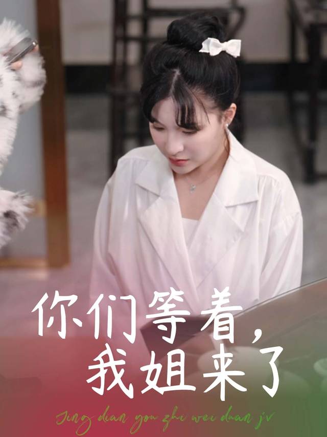 你们等着,我姐来了封面