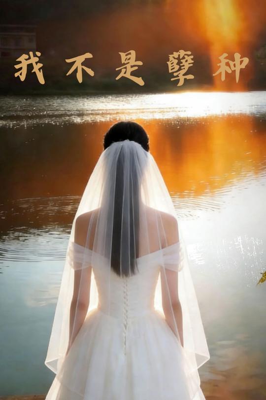 我不是孽种封面