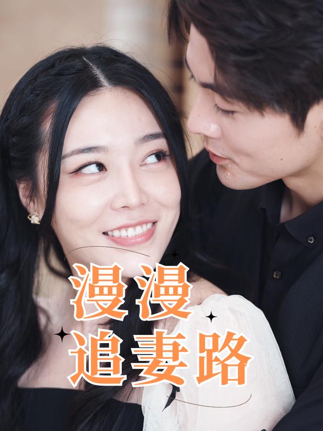 漫漫追妻路封面