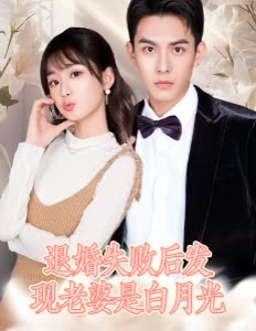 退婚失败后发现老婆是白月光封面
