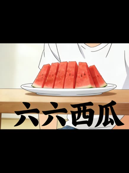 六六西瓜封面