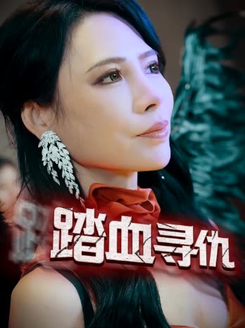 踏血寻仇封面