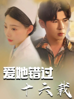 爱她错过十六载封面