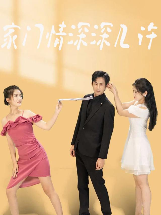 家门情深深几许封面