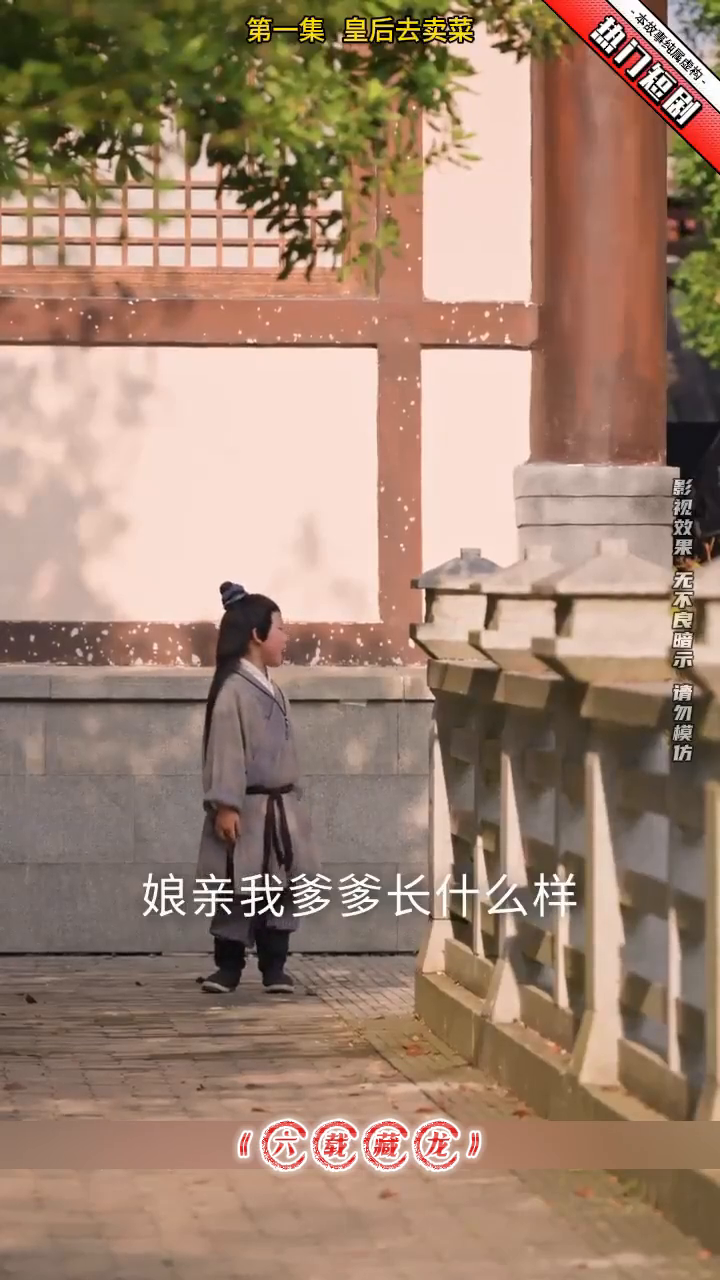 六载藏龙封面